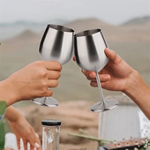 12oz Stainless Steel Insulated Goblet