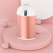 2-in-1 Hand Warmer Power Bank Charger