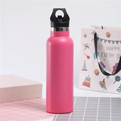 20 oz Stainless Steel Water Bottle w/Straw Lid