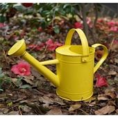 20Oz metal watering cans