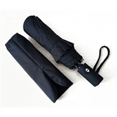 Auto Open Folding Umbrella