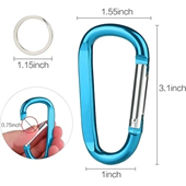 Carabiner key ring