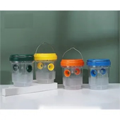 Fruit Fly Insect Bee Solar Trap