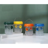 Fruit Fly Insect Bee Solar Trap