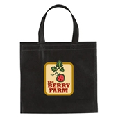 Non-Woven Mini Brochure Tote Bag