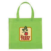 Non-Woven Mini Brochure Tote Bag